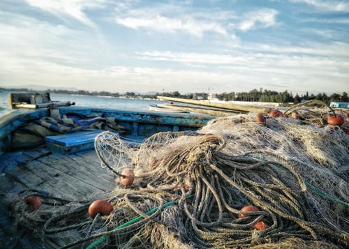 The Basic Fishing Packages You Need for Your Vacation
